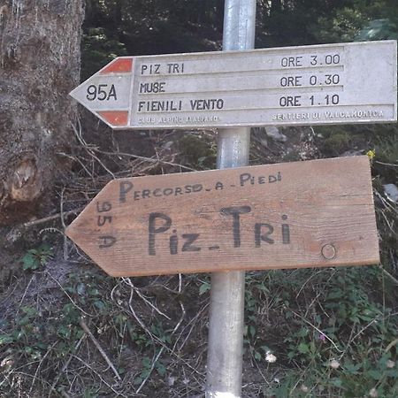 Casa Vacanza Pineta Malonno Dış mekan fotoğraf
