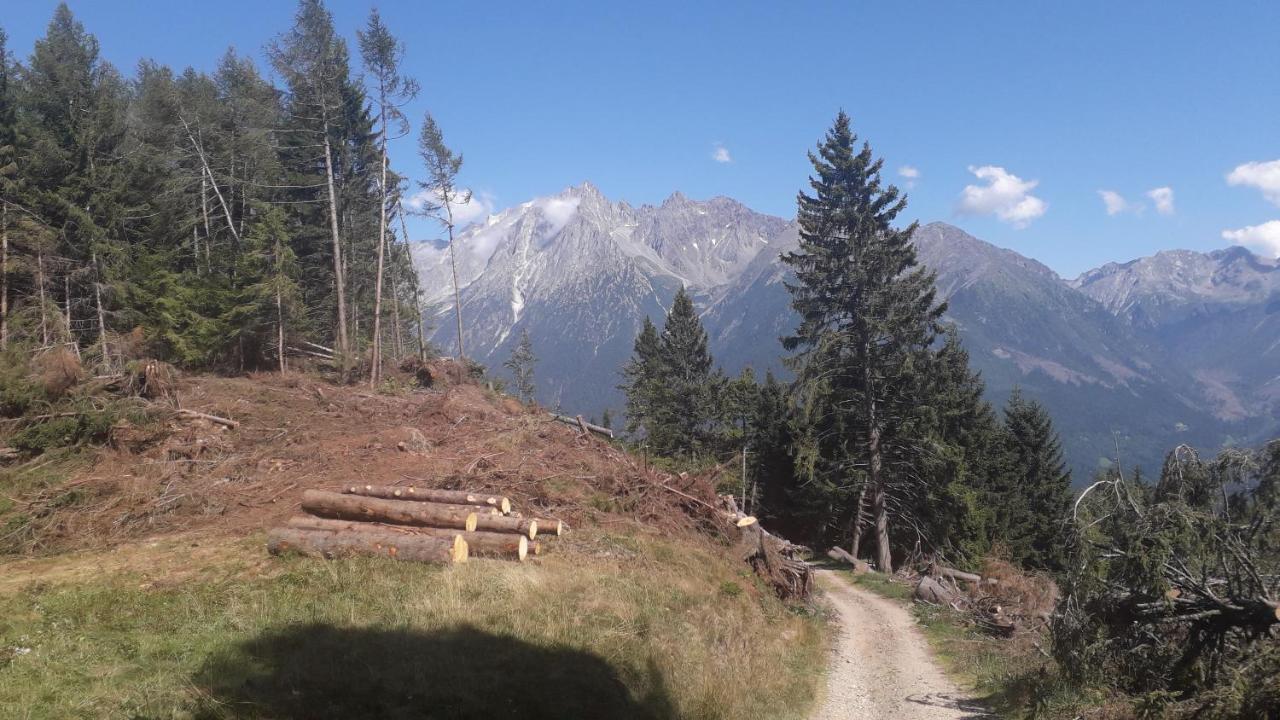 Casa Vacanza Pineta Malonno Dış mekan fotoğraf