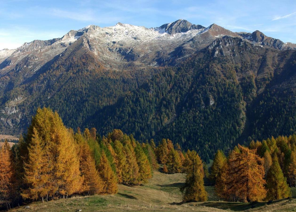 Casa Vacanza Pineta Malonno Dış mekan fotoğraf