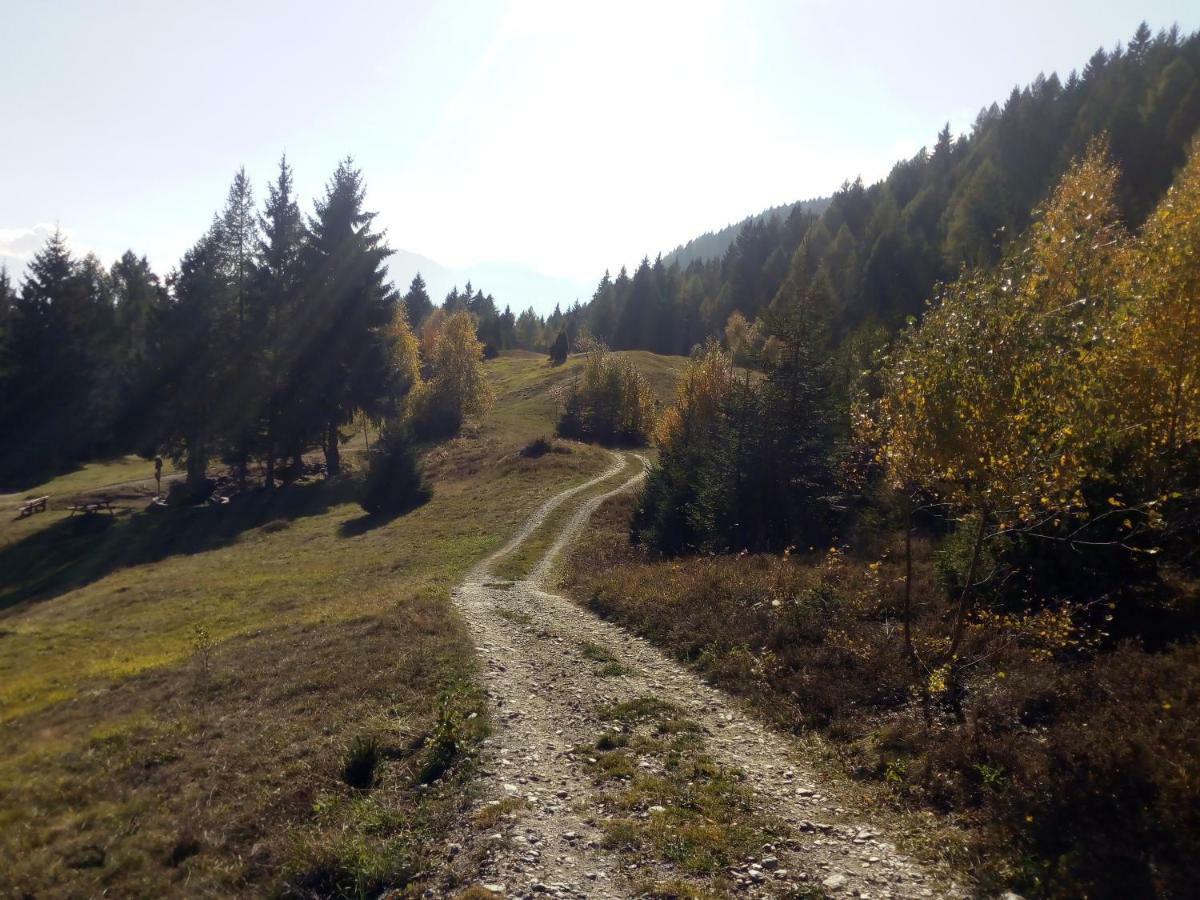 Casa Vacanza Pineta Malonno Dış mekan fotoğraf